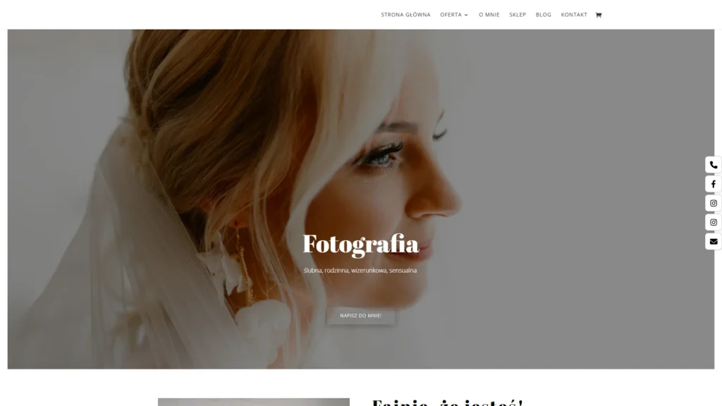 Strona internetowa Aniastachelska.pl - fotografia, Katowice