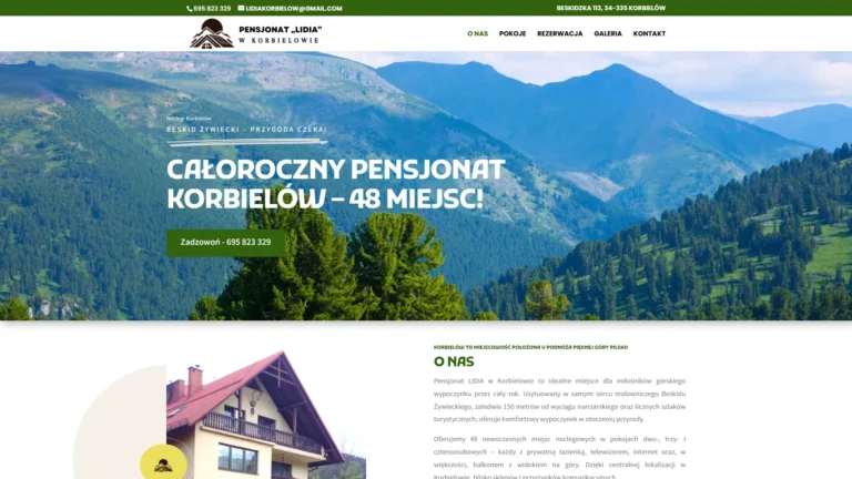 Strona internetowa dwlidia.pl