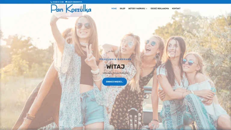 Strona internetowa pankoszulka.com