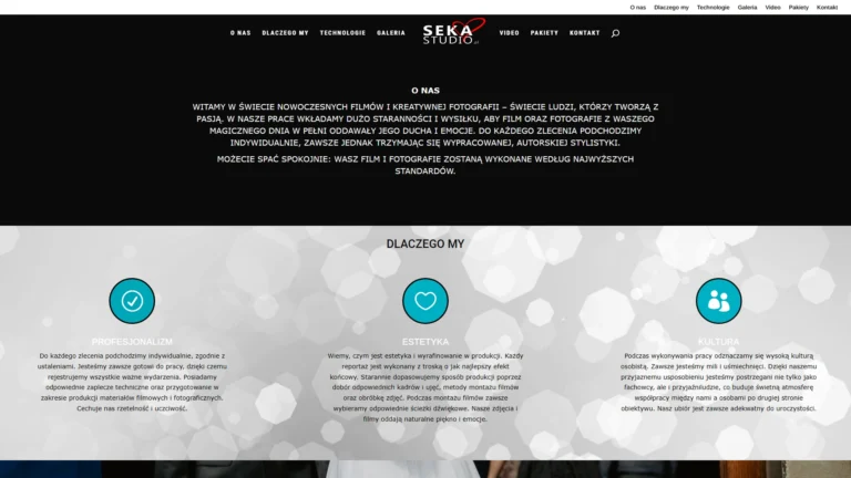 Strona internetowa sekastudio.pl