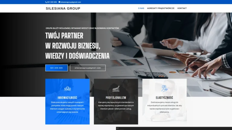 Strona internetowa silesianagroup.pl